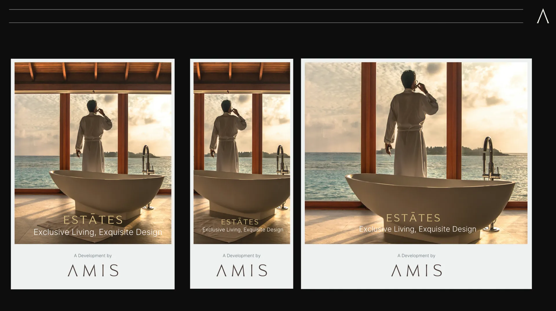 AMIS Development — image 13