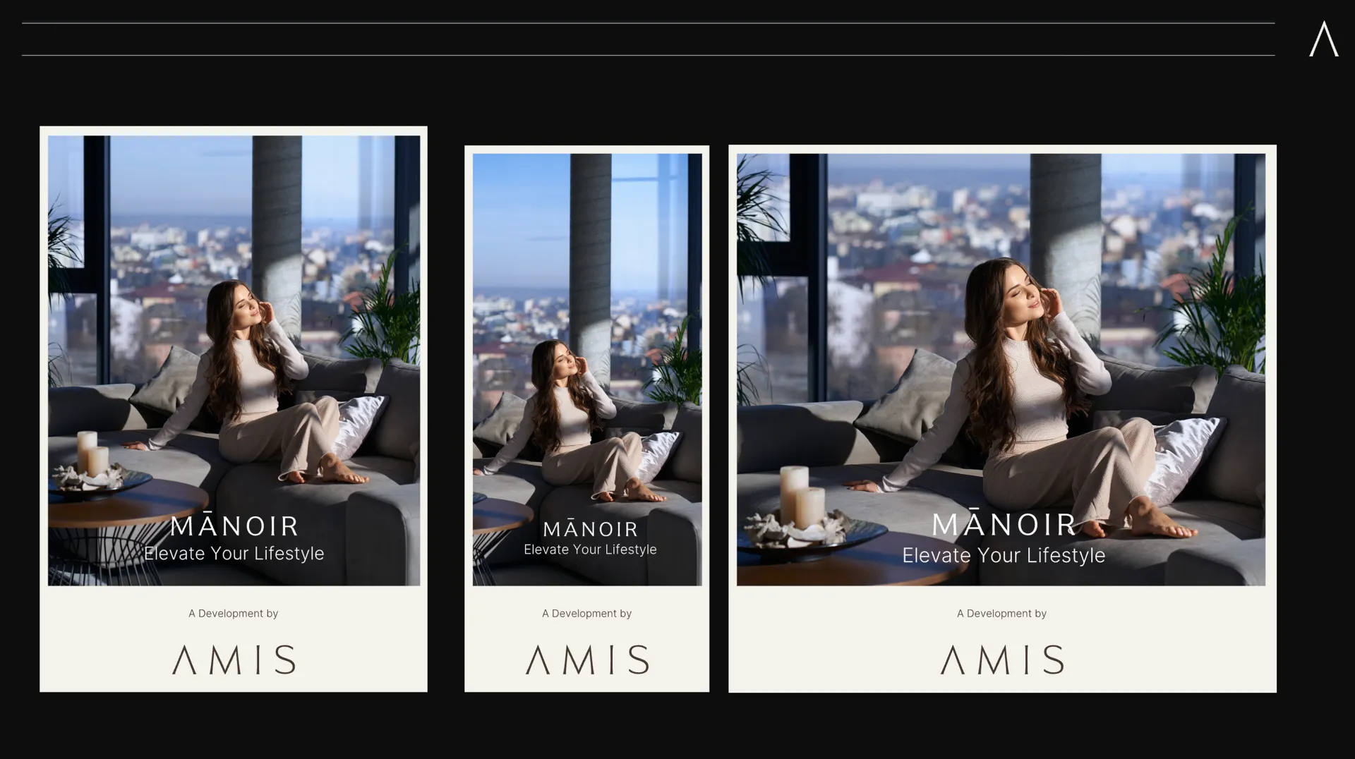 AMIS Development — image 14