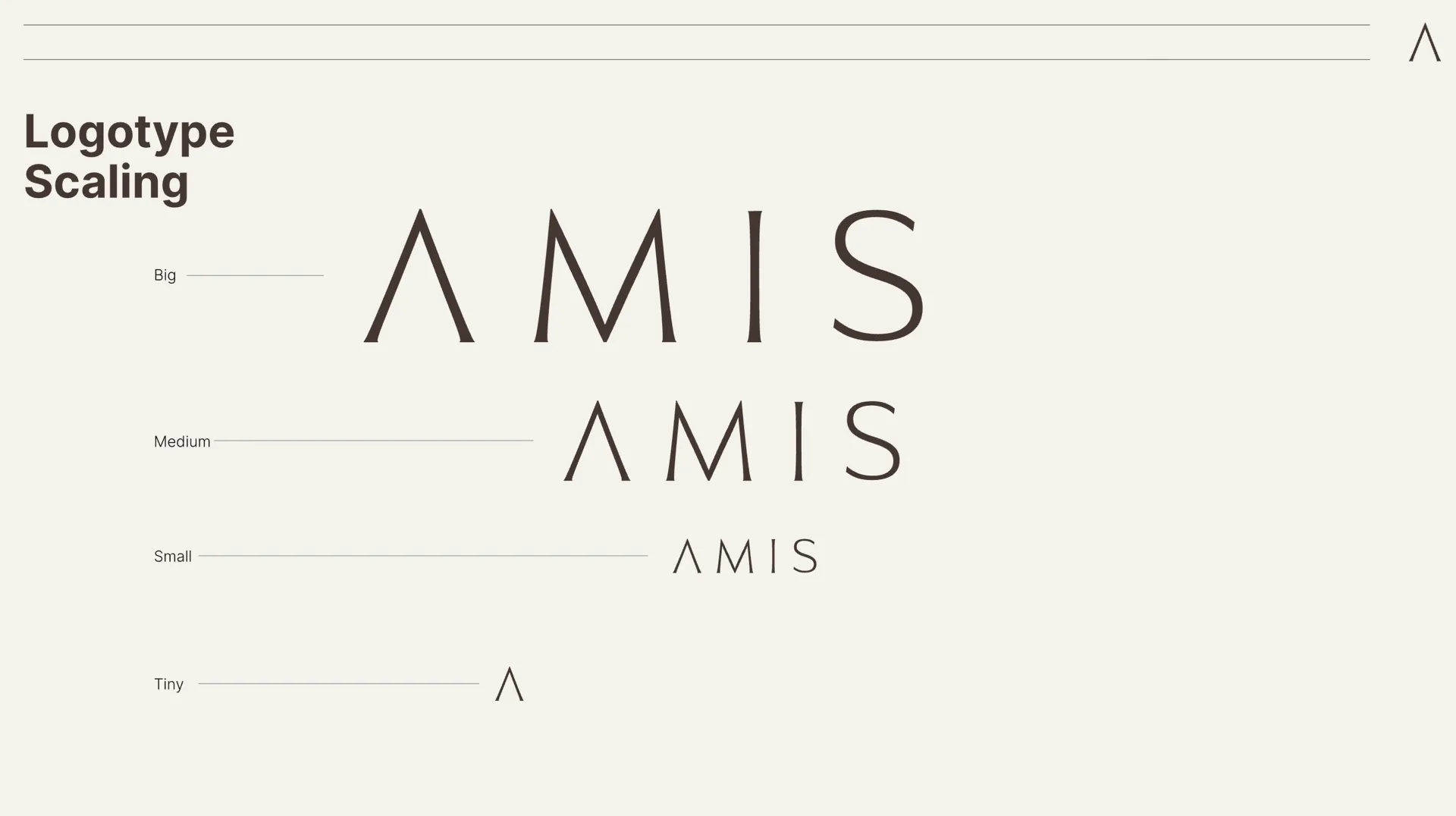 AMIS Development — image 4